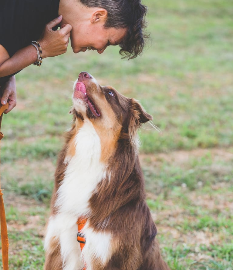 eleducane_rapporto_cane_brescia
