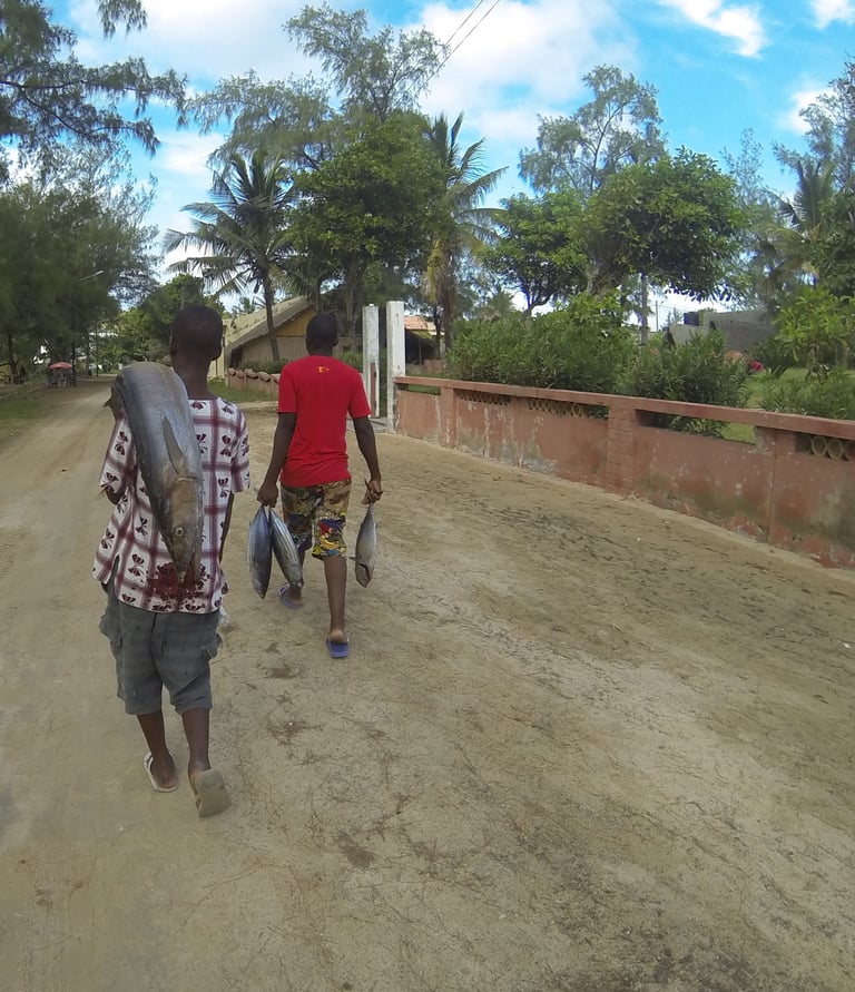 life at tofo Beach, Praia do Tofo, Mozambique