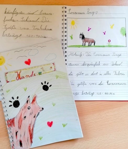 Themenarbeit Hunde