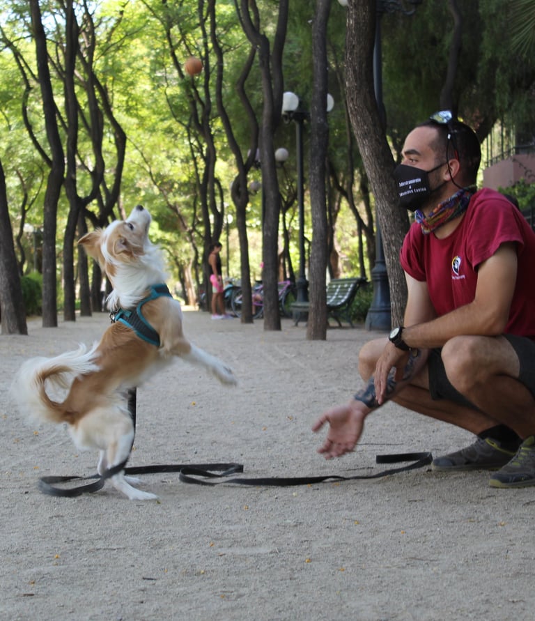 Paseo Funcional Providencia