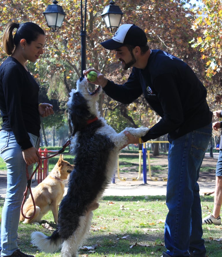 Entrenamiento Santiago Centro