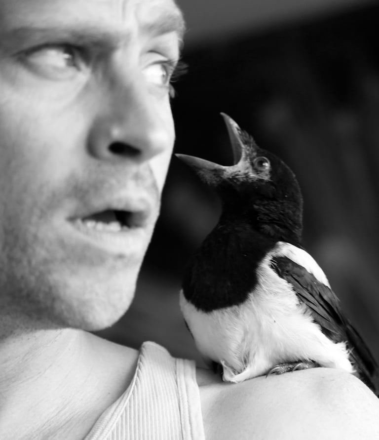 Portrait Claude Cattelain Artiste Art contemporain