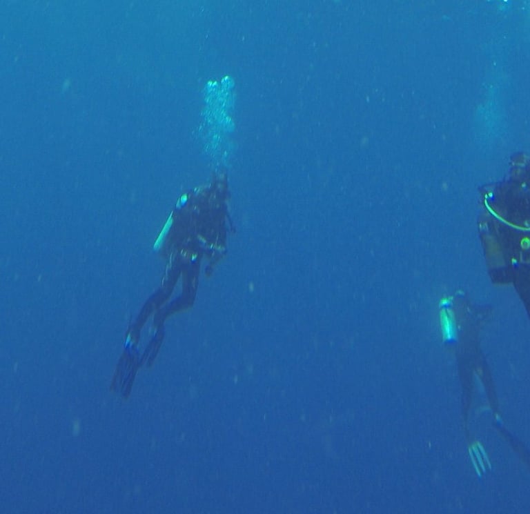 Tracey and Nick Billington diving at Tofo Beach, Praia Do Tofo, Mozambique