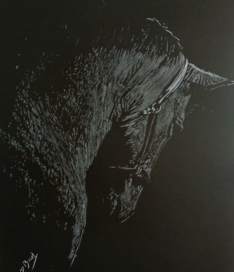 Black horse oeuvre monochrome originale 