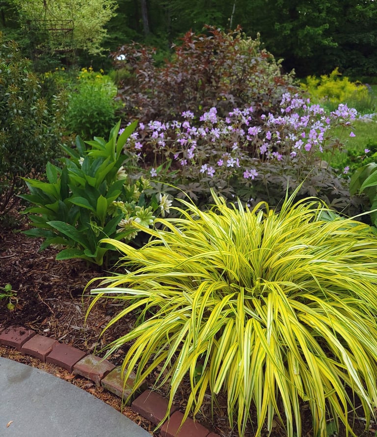 a garden with a bench and a bench in the middle of the garden