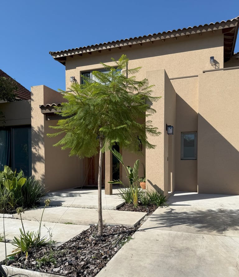 Lagartos frente amplio