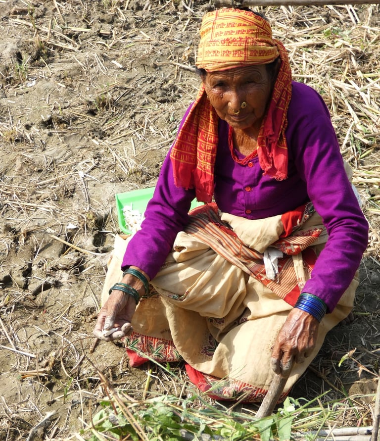 woman planting garlic in Thakurdwara