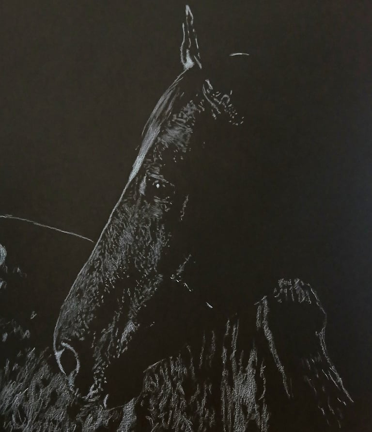 Black horse oeuvre monochrome originale 