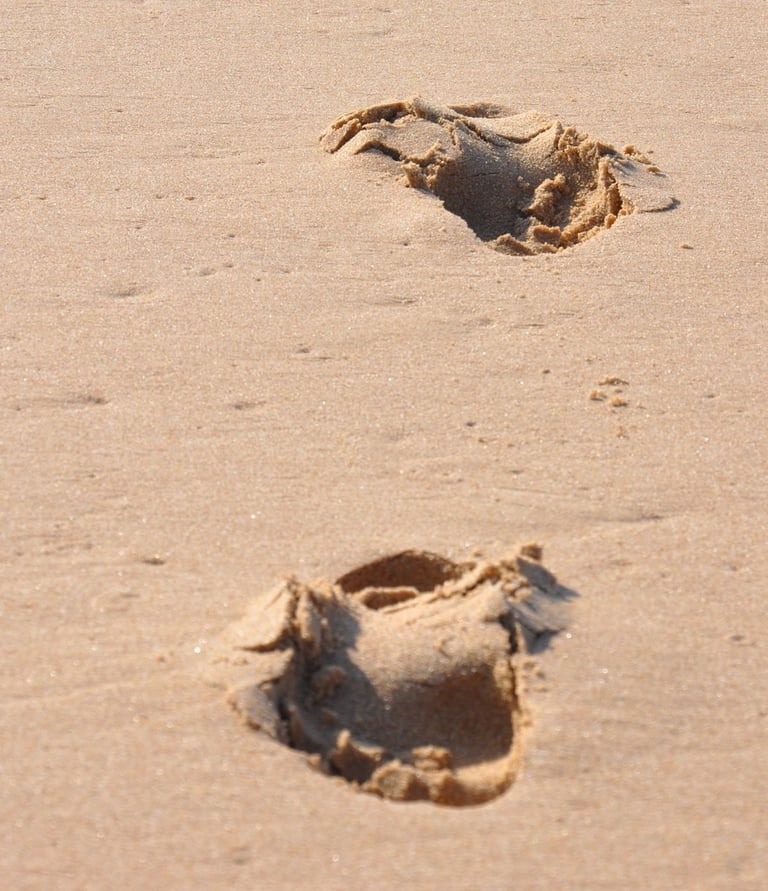 footsteps and life at tofo Beach, Praia do Tofo, Mozambique