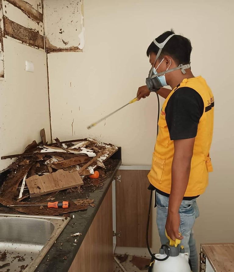 Professional pest control technician spraying treatment on termite-damaged kitchen cabinets.