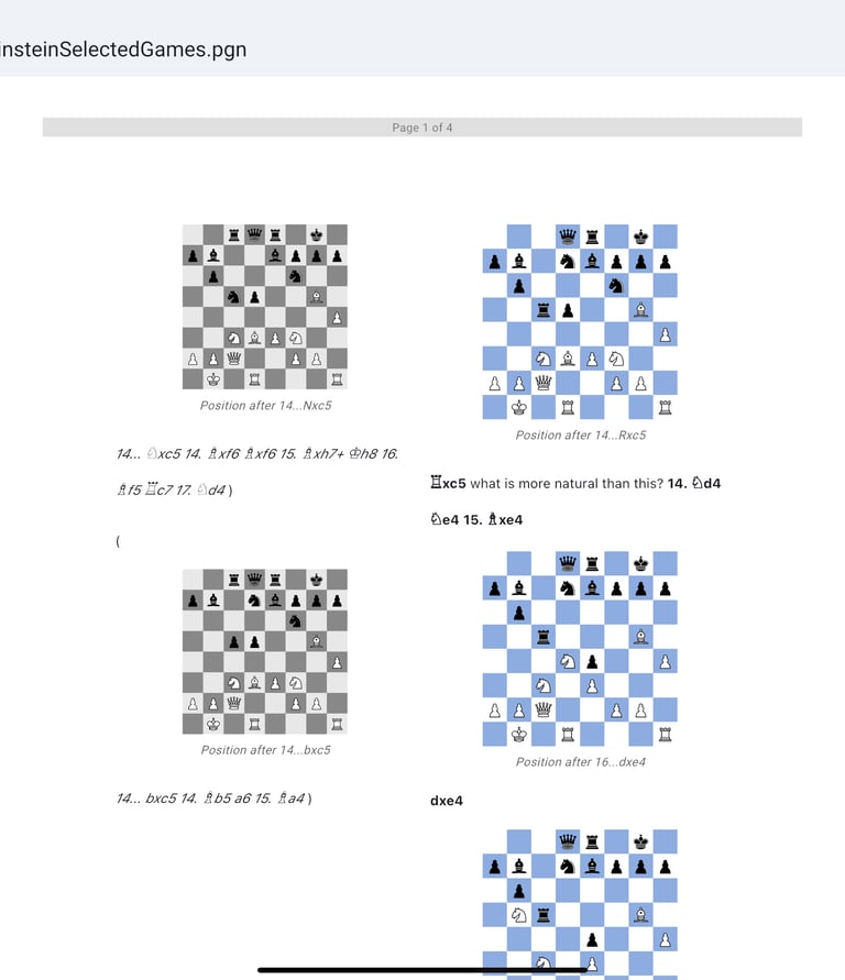 chess view book with subvariation view