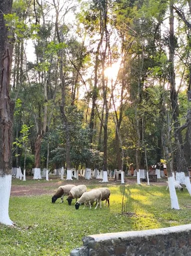 Mucho vocabulario para practicar, con los animales de la granja que nos acompañan.