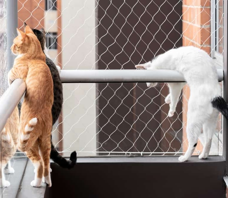 A wide shot of a modern apartment balcony fully secured with cat safety nets, bathed in warm sunligh