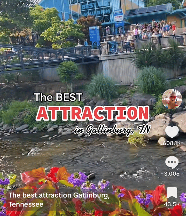 TikTok metrics screenshot showing short-form video content growth for Ripley’s Aquarium