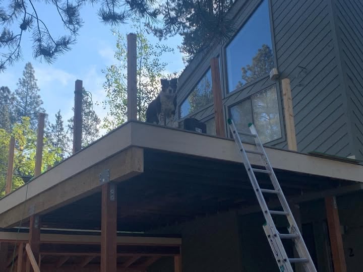 Our 4 Legged superintendent on a second story deck