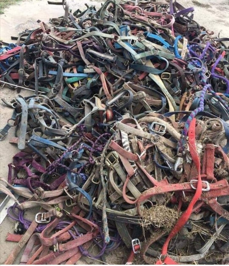 a pile of horse halters with no horses