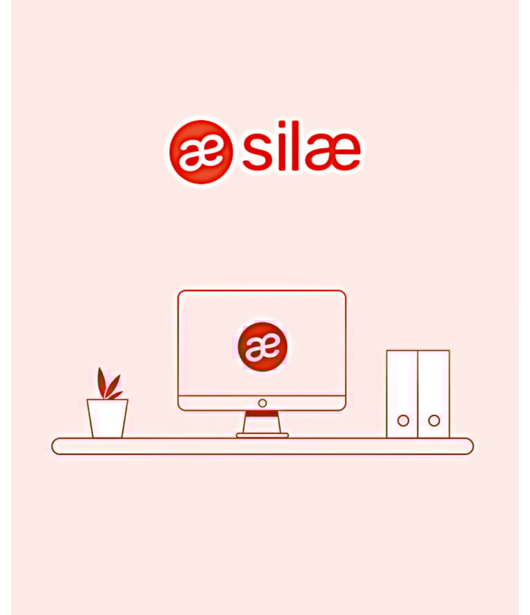 Interface Silae pour la gestion automatisée de la paie