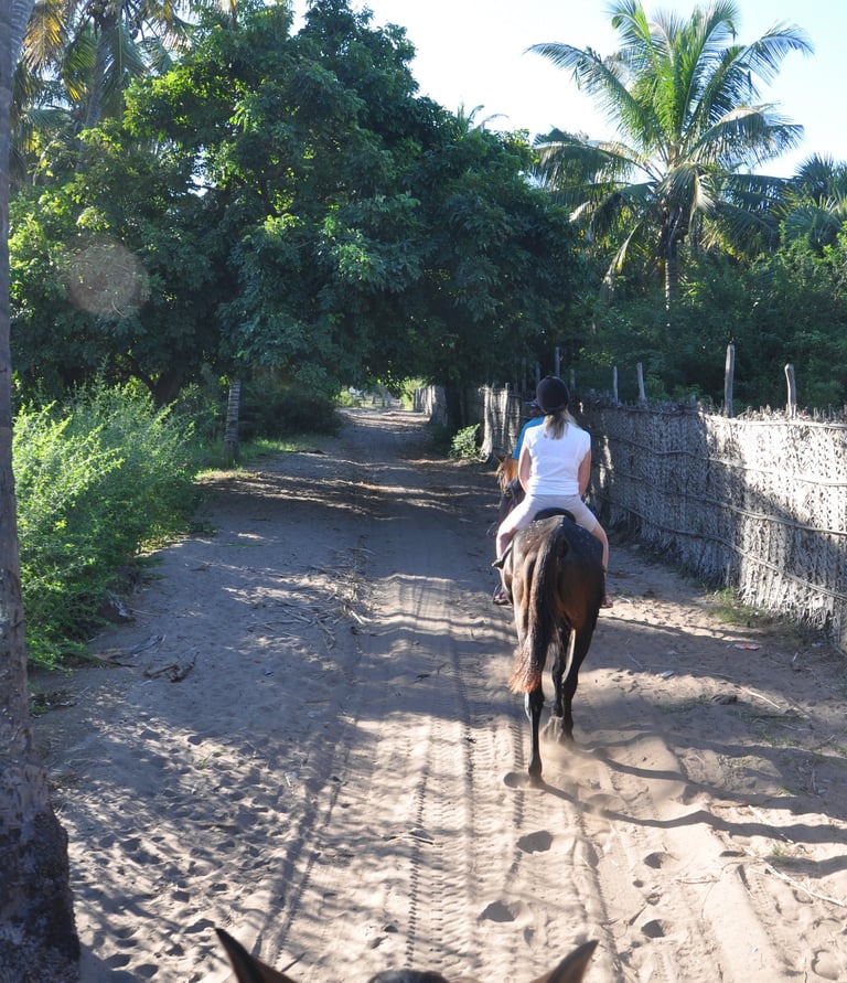 Nick and Tracey Billington Horse riding at Tofo Beach, Praia do Tofo, Mozambique