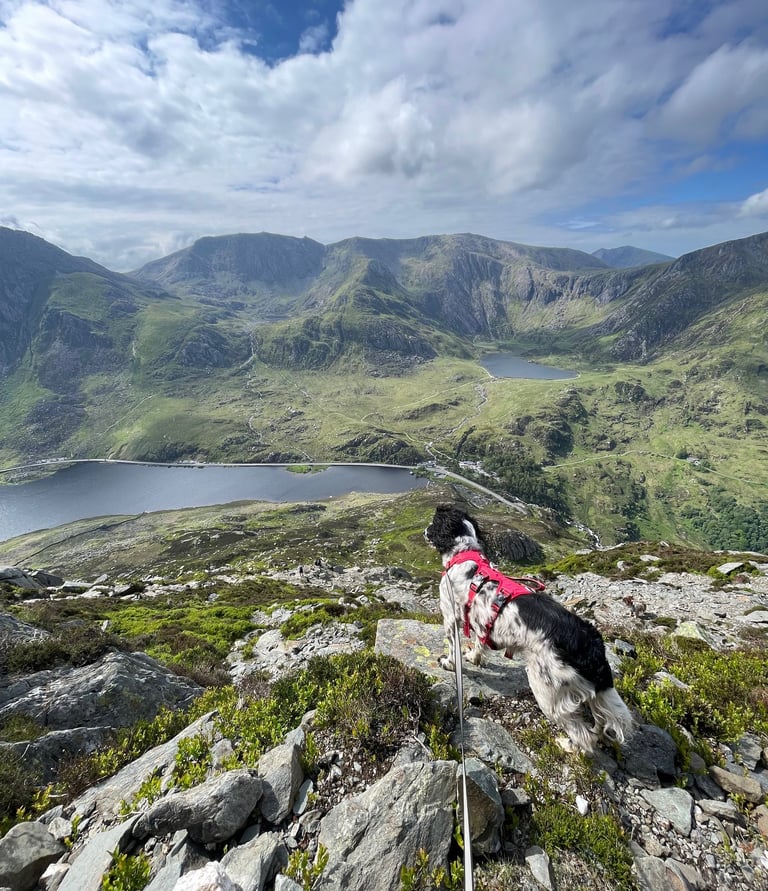 the path from the troll bridge up to the summit of Pen yr Ole Wen