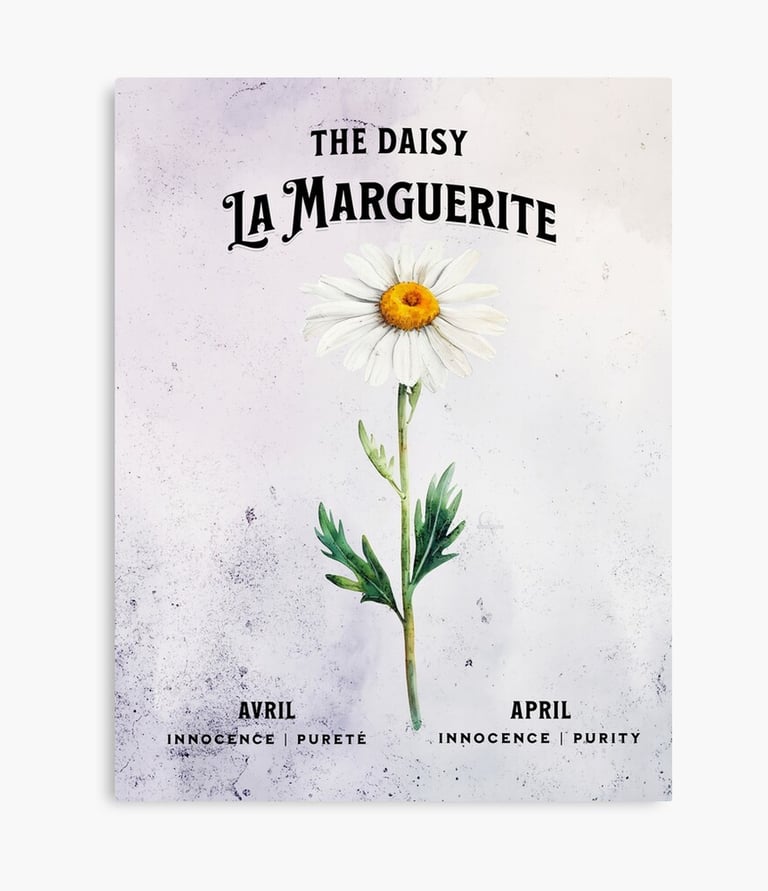 Marguerite
