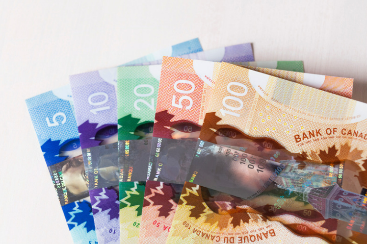 a bunch of different denominations of Canadian dollars