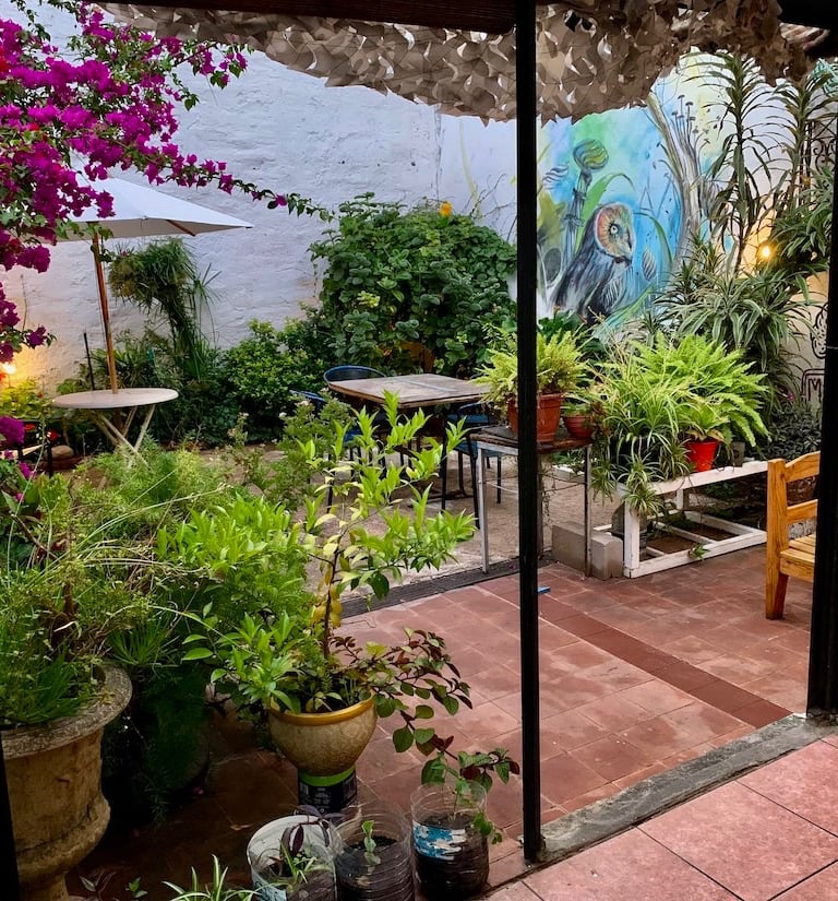 patio, chill zone, hostel con jardín, terraza, barbacoa.