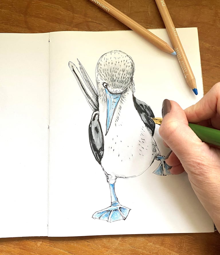a person's hand holding a pencil and drawing a bird