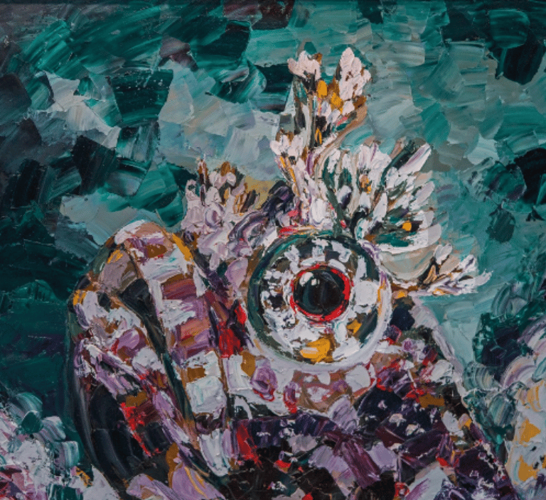 Baby Blenny de la Plata