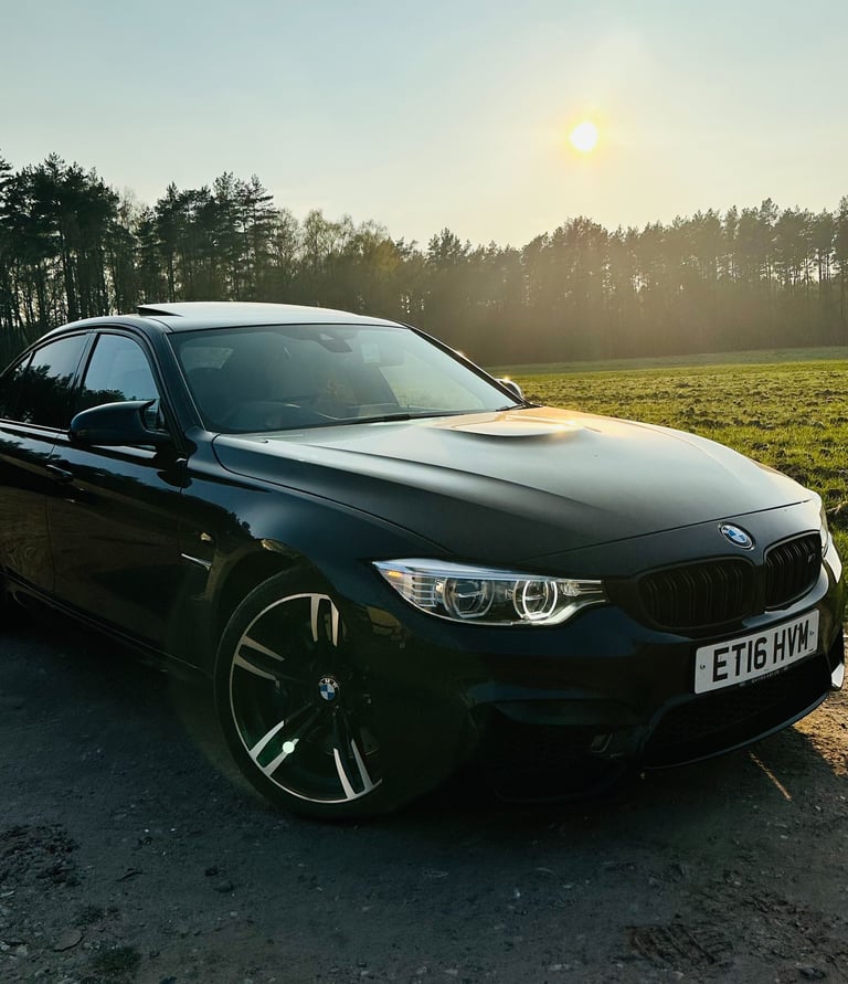 BMW M3 in front woods and field