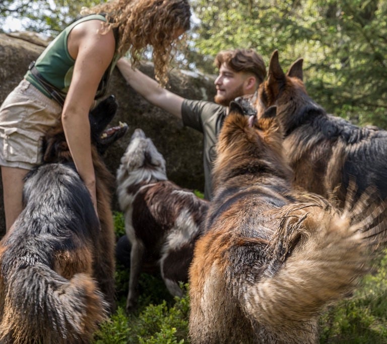 Maiya, a dog walker in harrogate walking dogs with another dog walker
