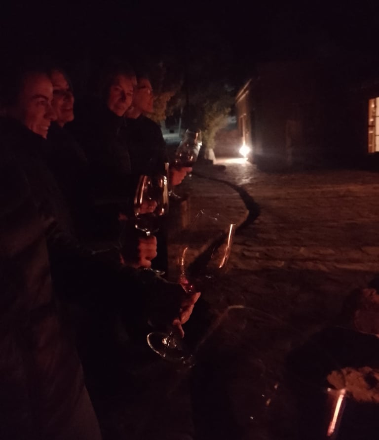 Jujuy - Viñas de Urquía - Cata bajo las estrellas