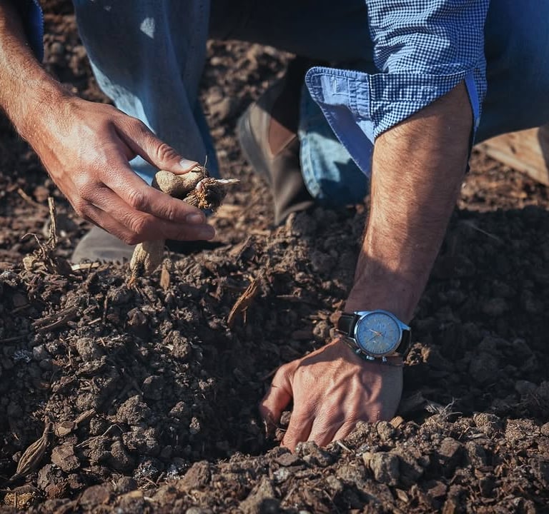 Matthieu Mehuys is a regenerative landscape architect