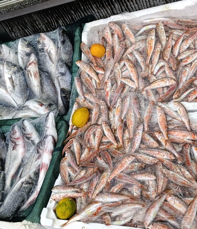 Karasu balıkçılık