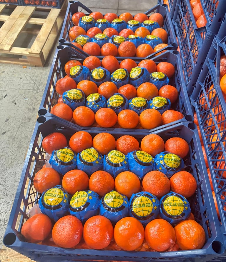a crate of oranges in a crate of oranges