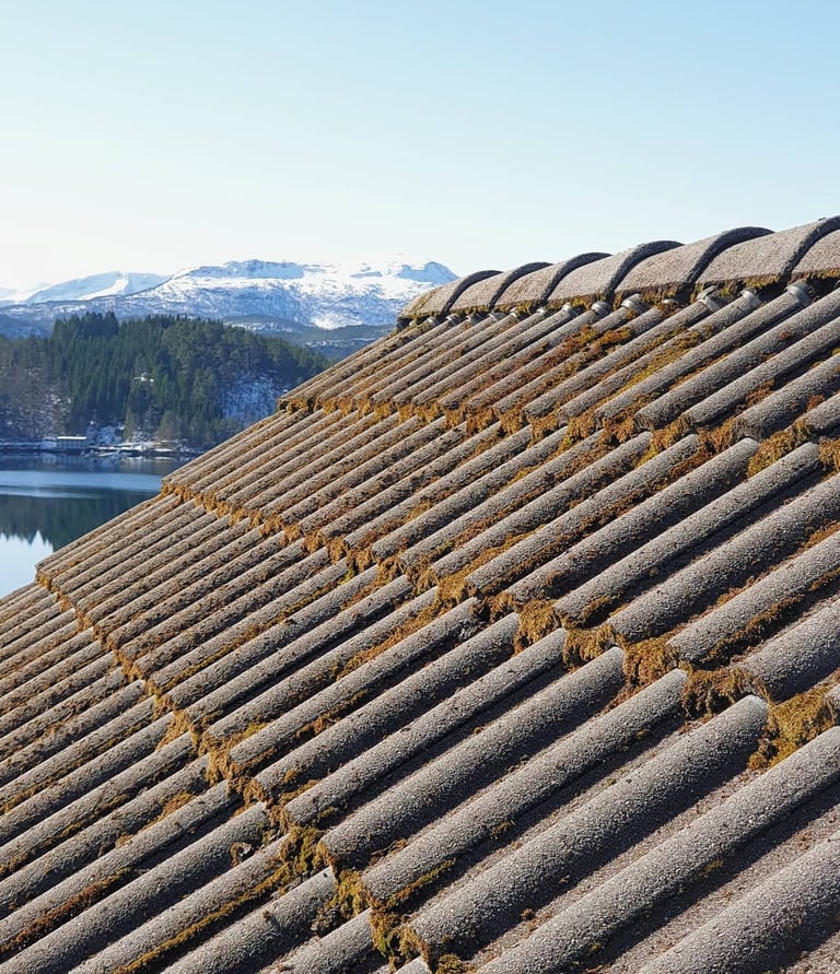 Takvask før vi vasket