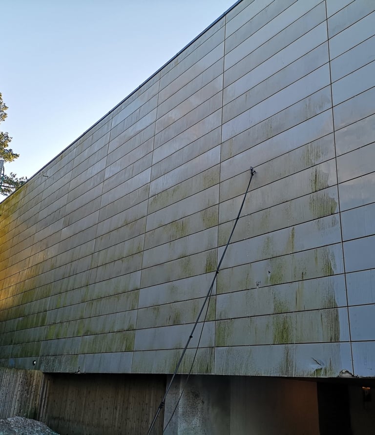 Bilde tatt før fasadevask