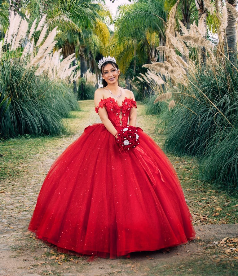 Mis Quince Servicio Princess