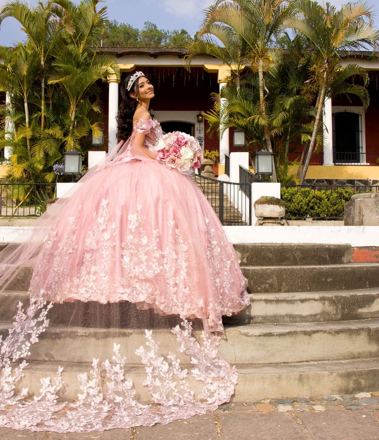 Mis Quince Servicio Princess