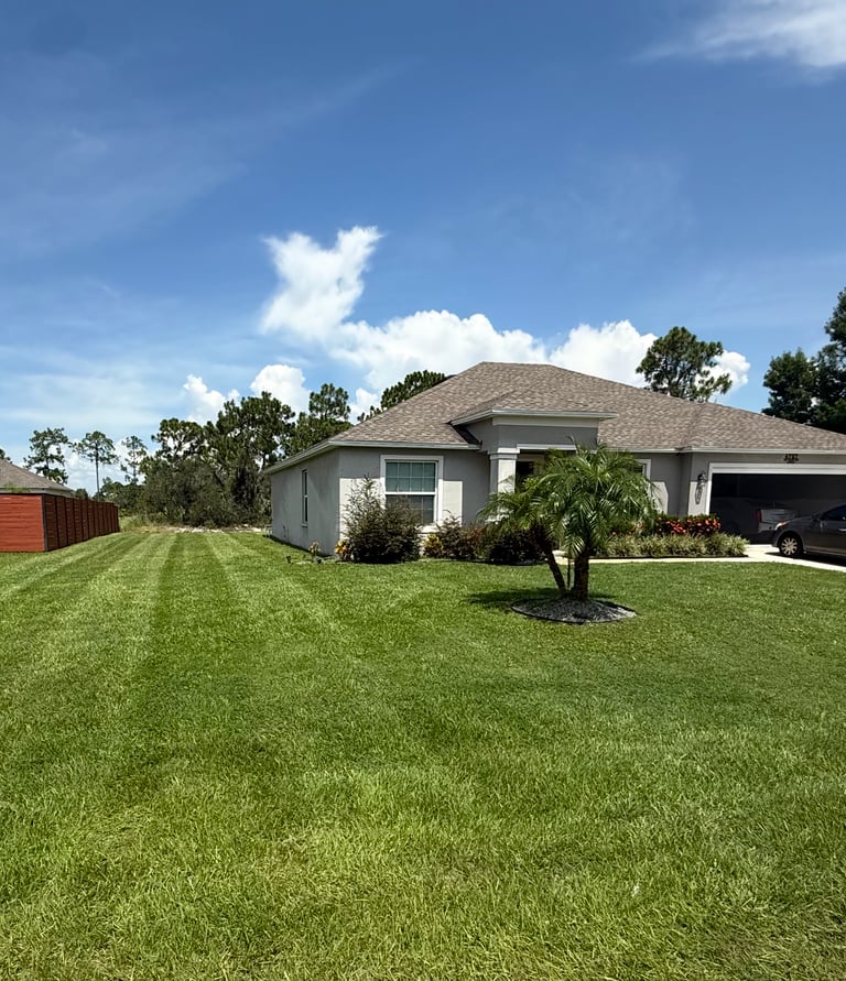 a house with a car parked in the grass