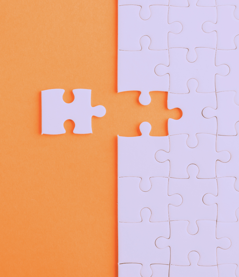 Puzzle piece fitting in the whole puzzle