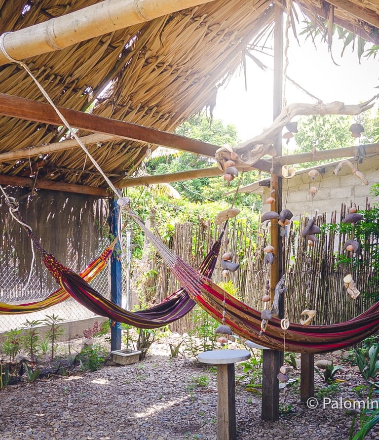 cabaña rustica con hamacas y mucha vegetación