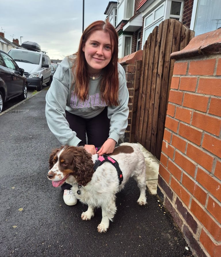 dog walker in doncaster