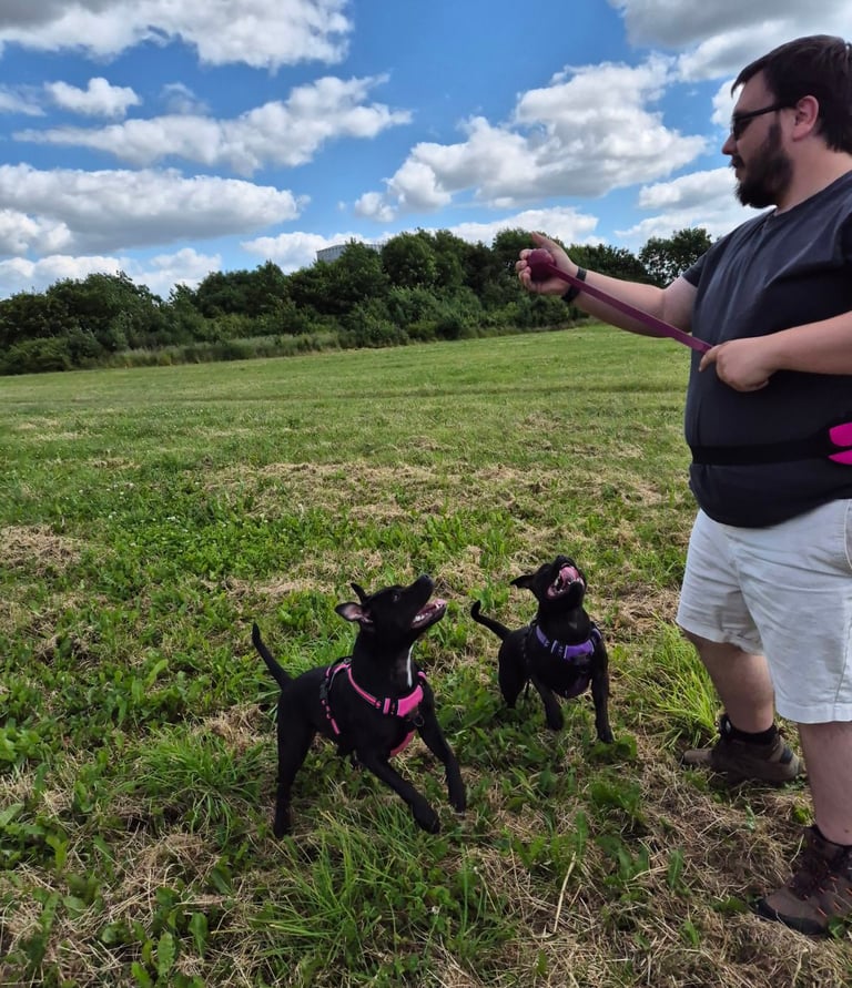 doncaster dog walker