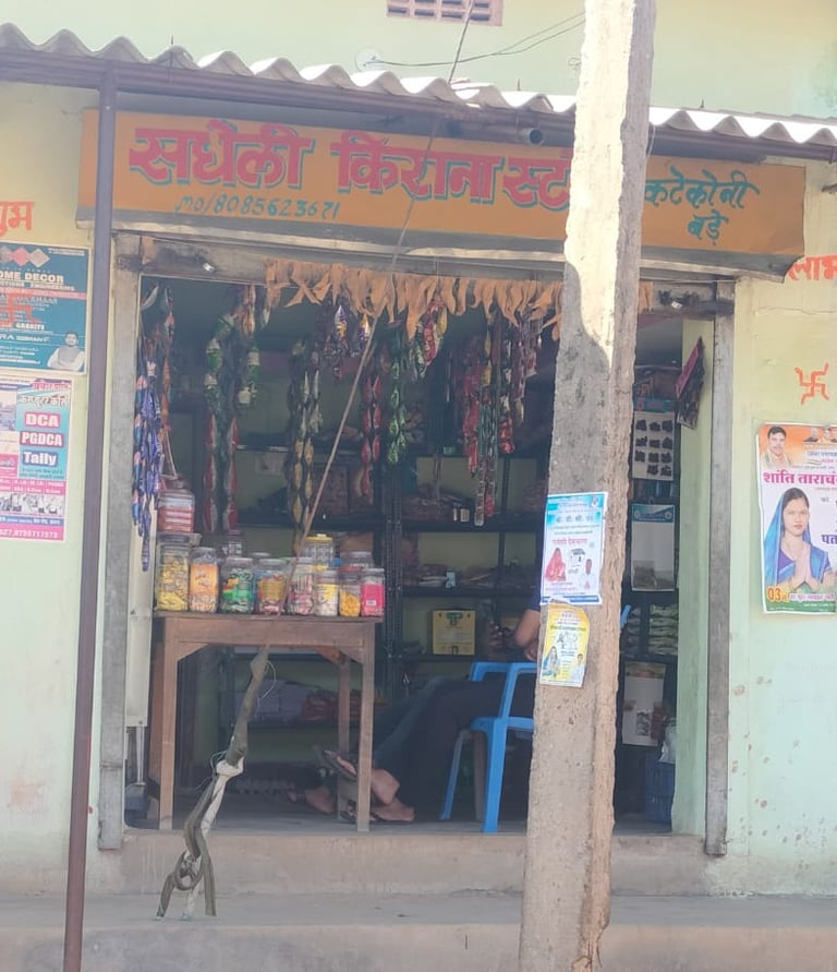 Sadheli grocery store