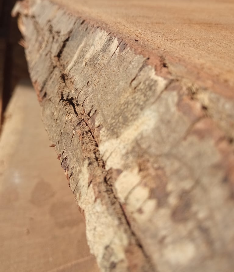 planche de bois brut