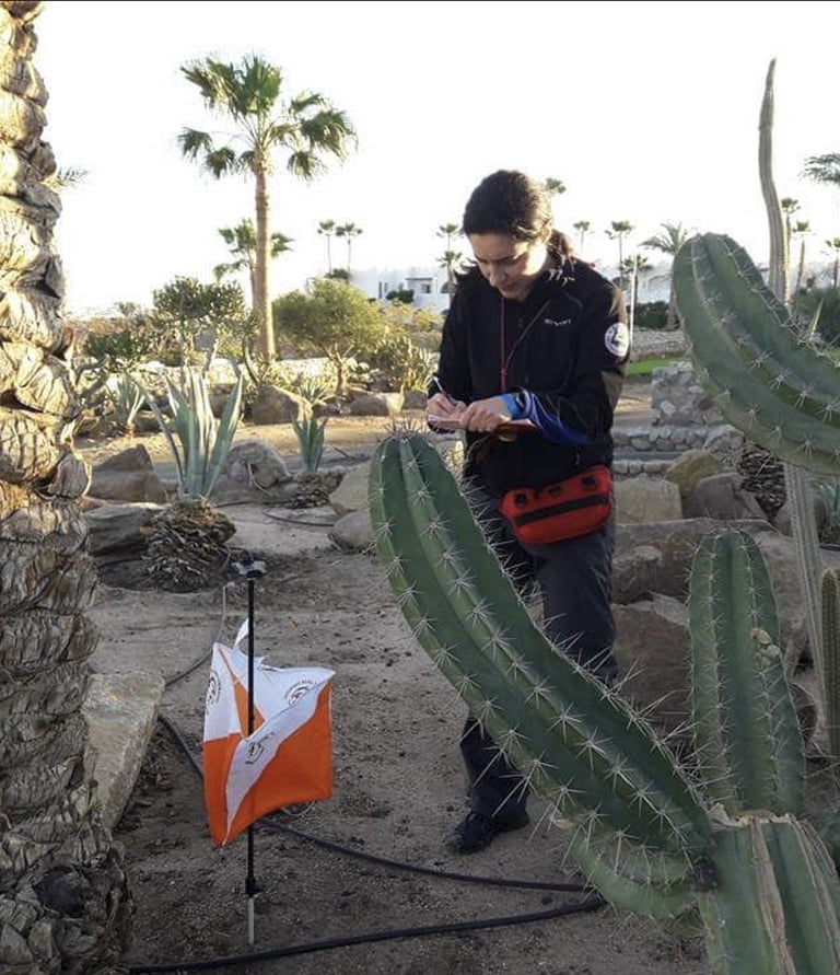 Crtanje karata u Egiptu