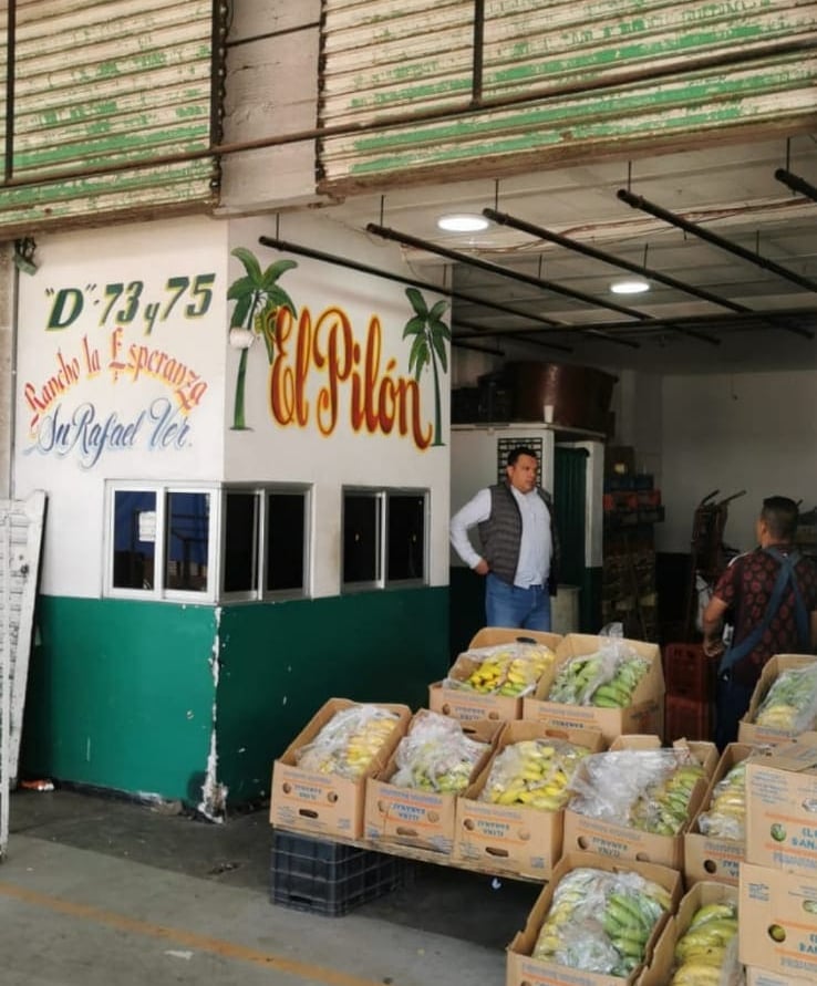 Puesto de venta de plátanos  frescos en la central de Abastos de Puebla con cajas de plátano  fresco