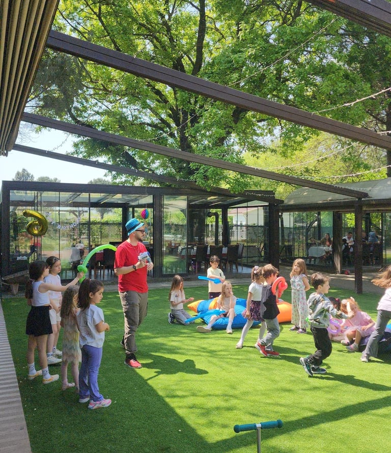 Doğum günü , doğumgünü davet organizasyon