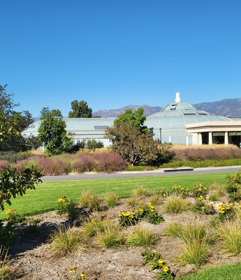 a park bench in a park with a view of a building