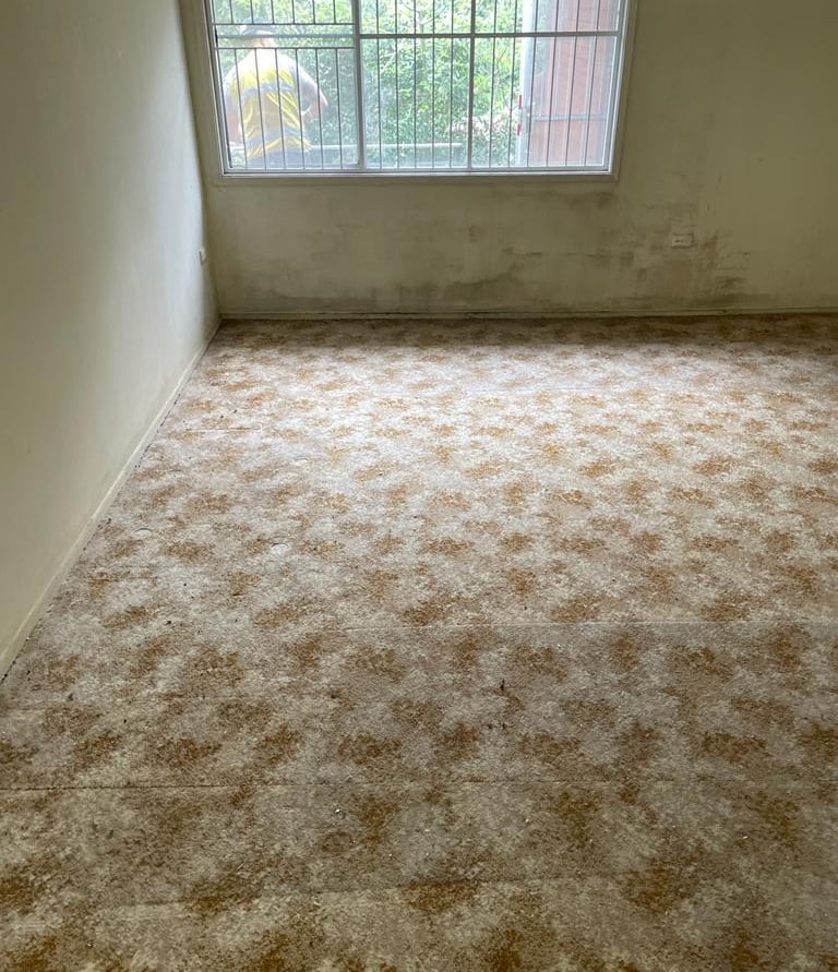 Westleigh house rubbish clearing